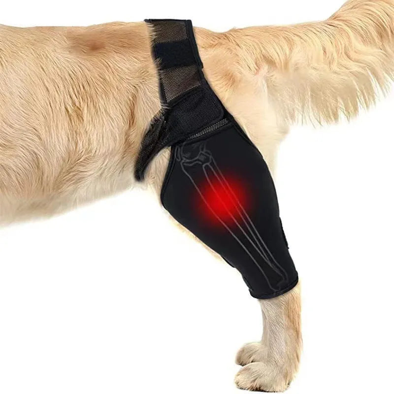 Dog leg support protector in diving cloth and mesh, adjustable Velcro strap, for front and rear legs, sizes XS to XL.