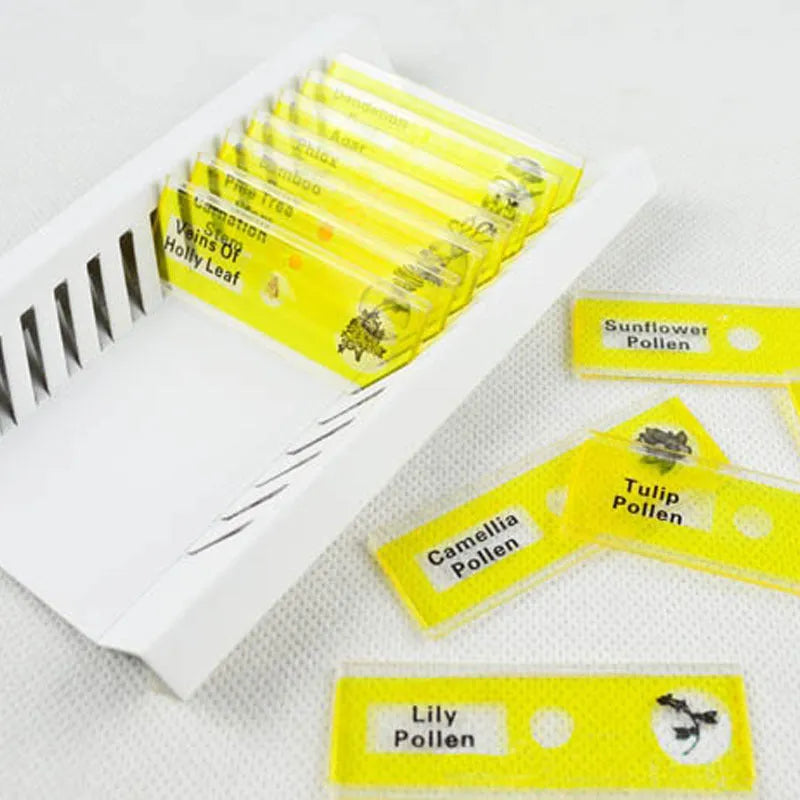 48-piece educational microscope slide set with colour-coded boxes containing plant and animal specimens.