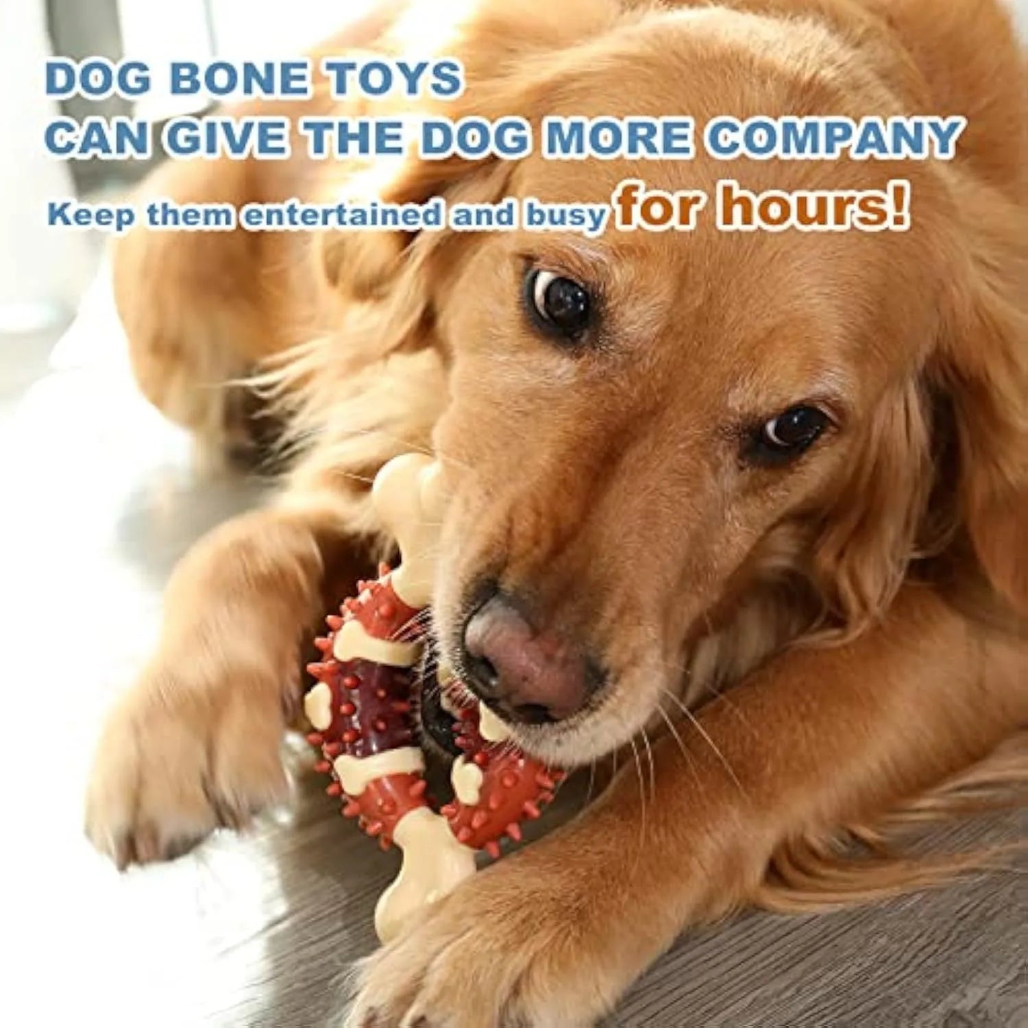 Bone-shaped natural rubber dog toy for teeth grinding in two sizes, 15cm and 12.5cm, on a white background