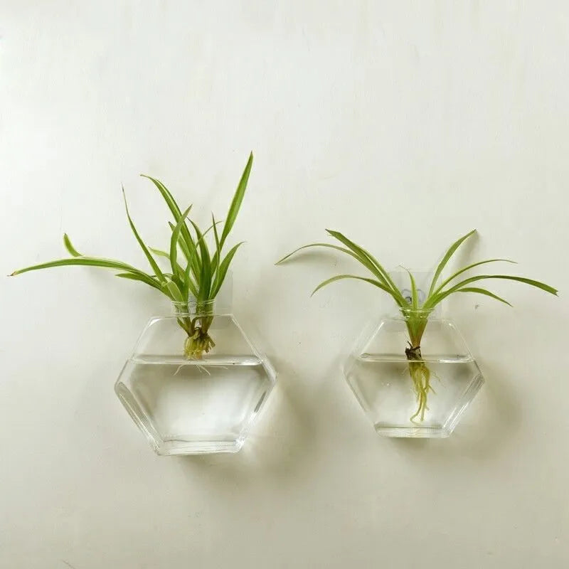 Wall-mounted geometric fish tank in high borosilicate glass, polished finish, 13x13cm and 17x17cm sizes