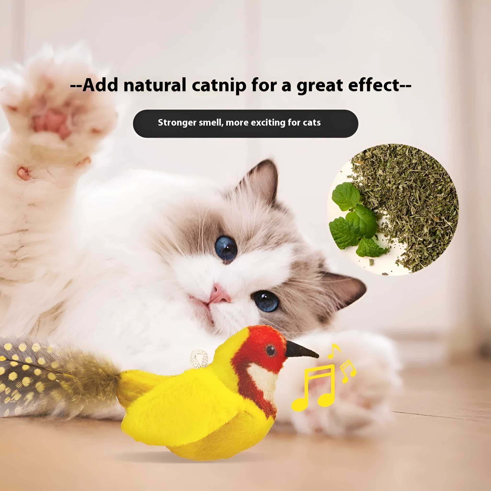 Plush bird simulation cat toy in four colour variants: blue kingfisher, coloured bird, sparrow and yellow bird
