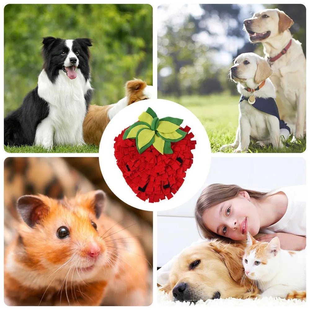 Red and green strawberry-shaped pet slow feeder mat with hiding spots for foraging