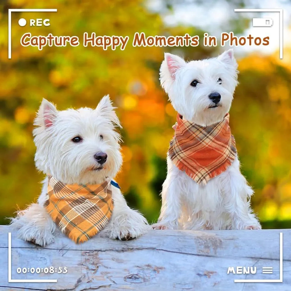 Plaid triangle dog bandana with tassel edges in autumn colours on a dog's neck.