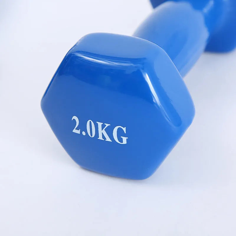Bright colour plastic-coated fitness dumbbells with glossy surface for floor protection during home workouts
