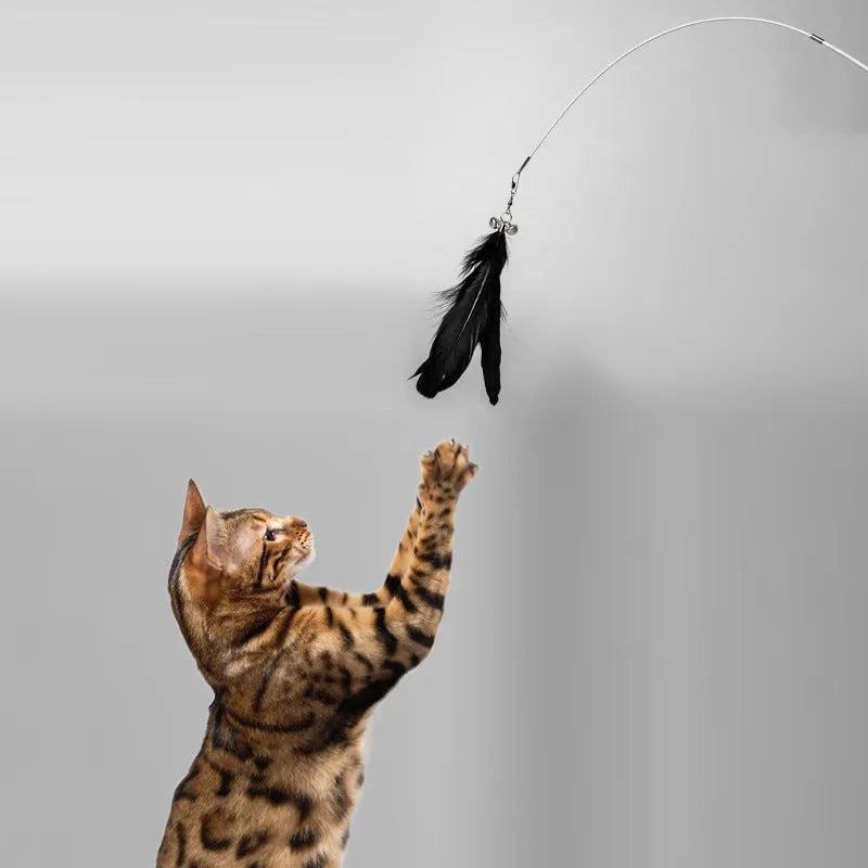 Telescopic cat fishing rod extended, showing goose feather bell toy and removable pen on fibre shaft