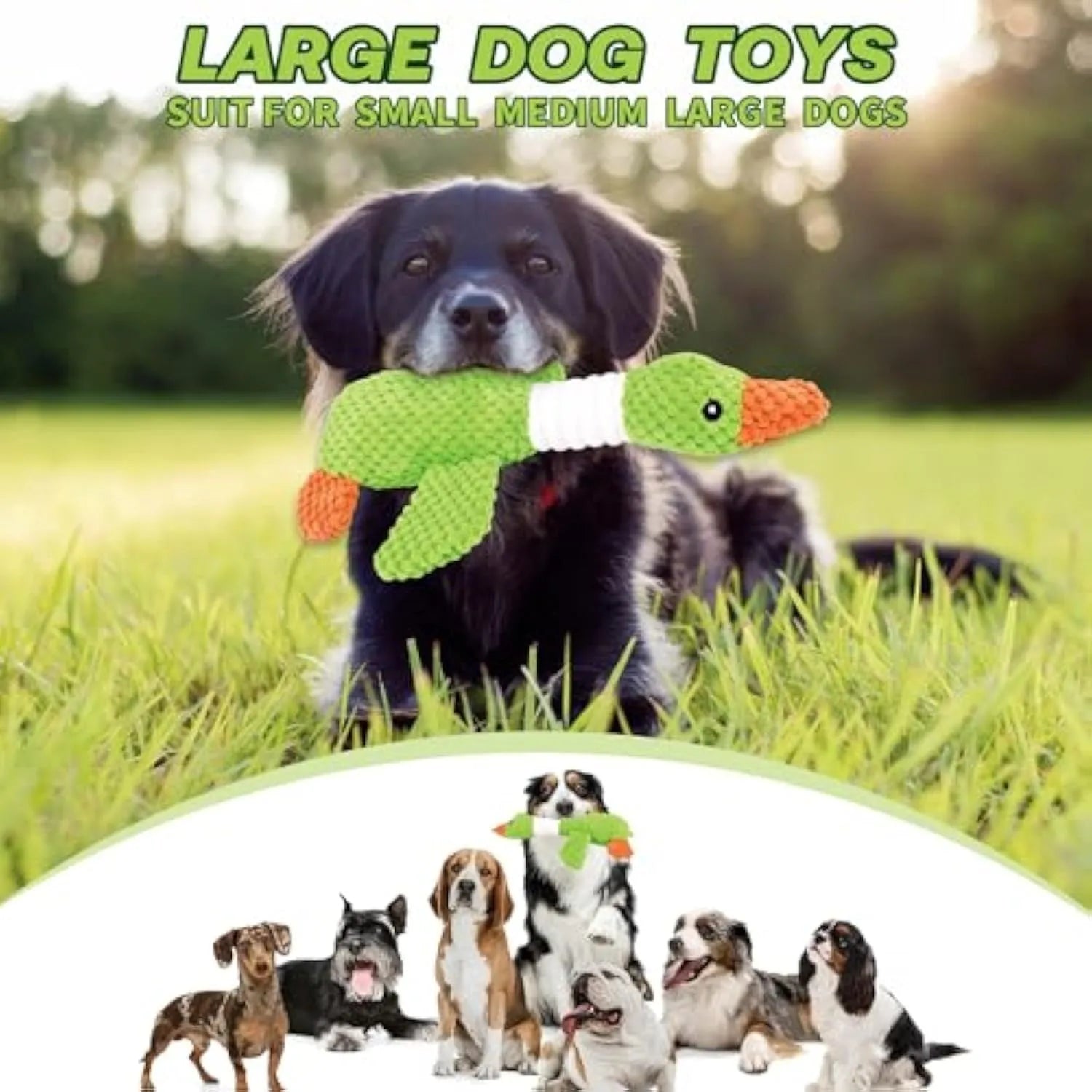 Blue plush duck dog toy with squeakers, measuring 33cm, for chewing and teeth cleaning