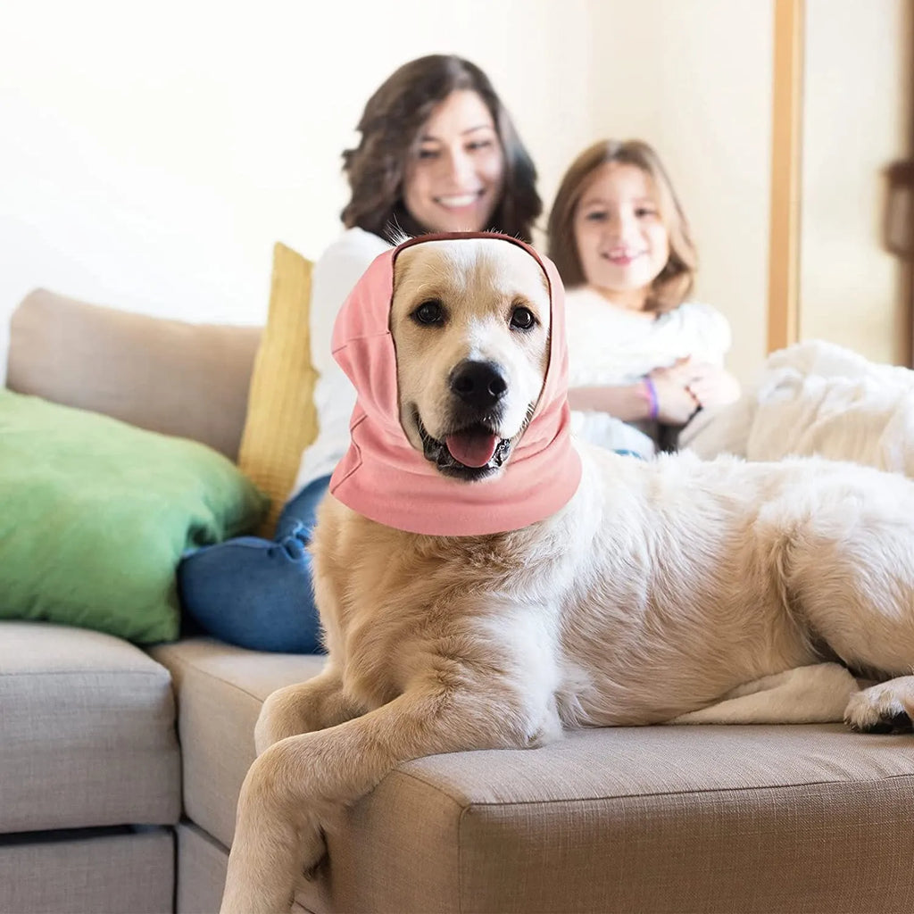 Cotton pet ear muffs in pink, black or purple with elastic scarf band, sizes S M L for dogs and cats