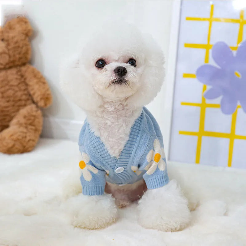 Small dog wearing blue knitted polyester jumper with weight-based sizing for autumn and winter