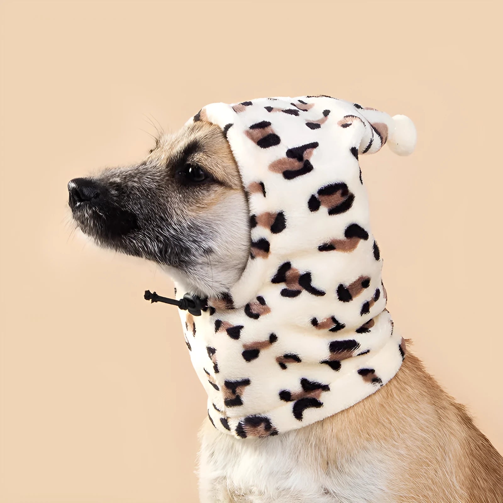 Cloth bear-themed pet hat with rabbit ears on a dog, available in leopard print, black, and red.