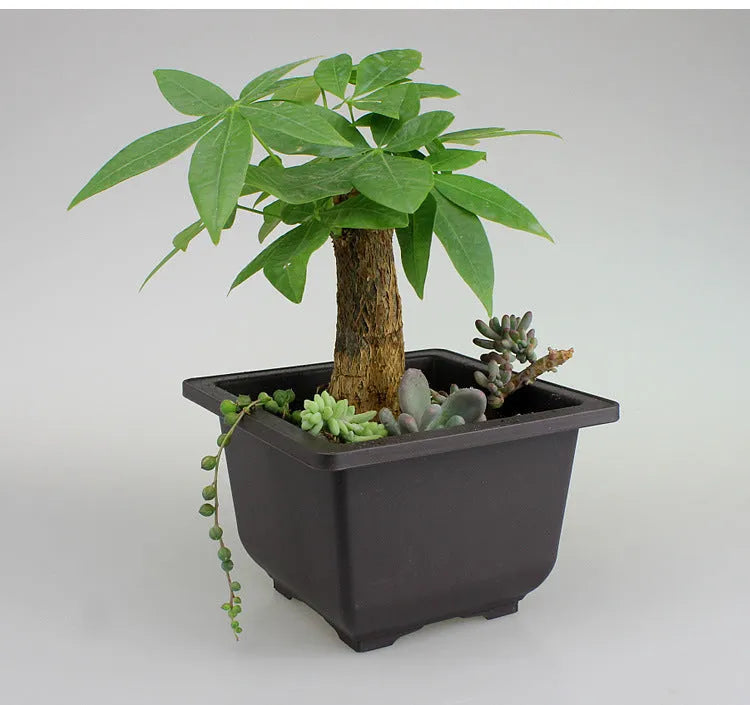 Dark brown antique-style recycled plastic flowerpot on a wooden garden table.