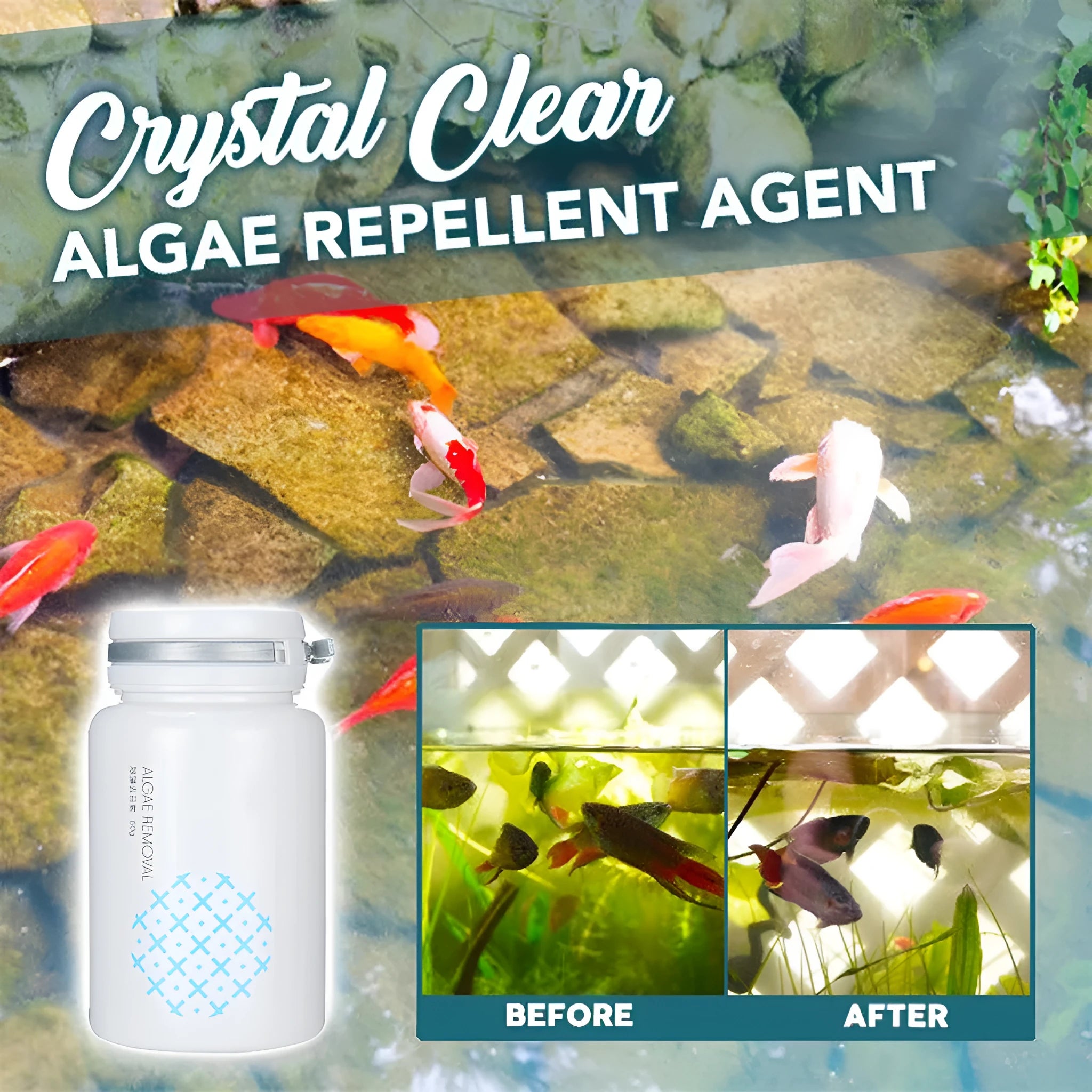 50g bottle or packet of algaecide for swimming pool and aquarium algae control.