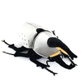 White worm plush toy doll in black, 23cm mouth-to-tail, Korean velvet fabric, PP cotton and rubber granules
