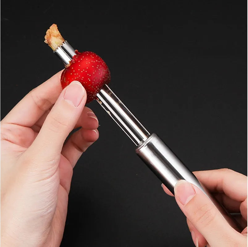 Stainless steel pineapple corer-slicer with ABS handle in choice of colours
