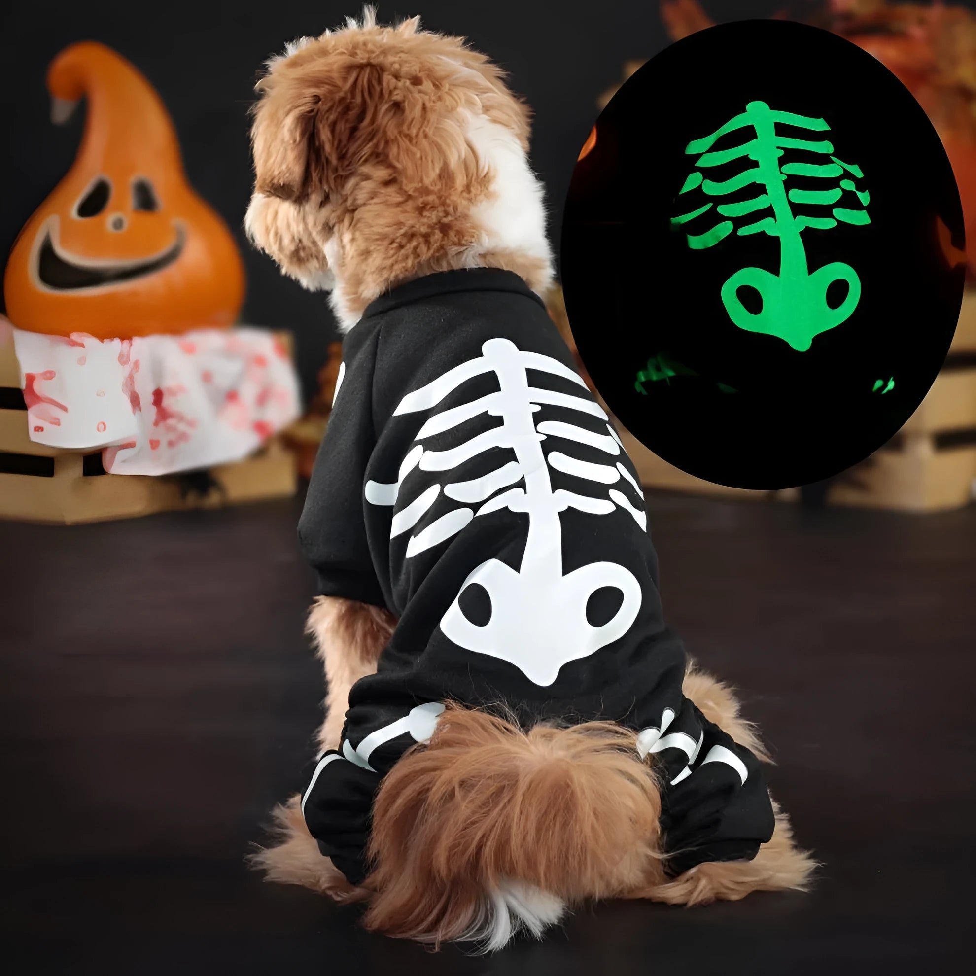 Halloween luminous skeleton costume for a dog, showing four-legged design.