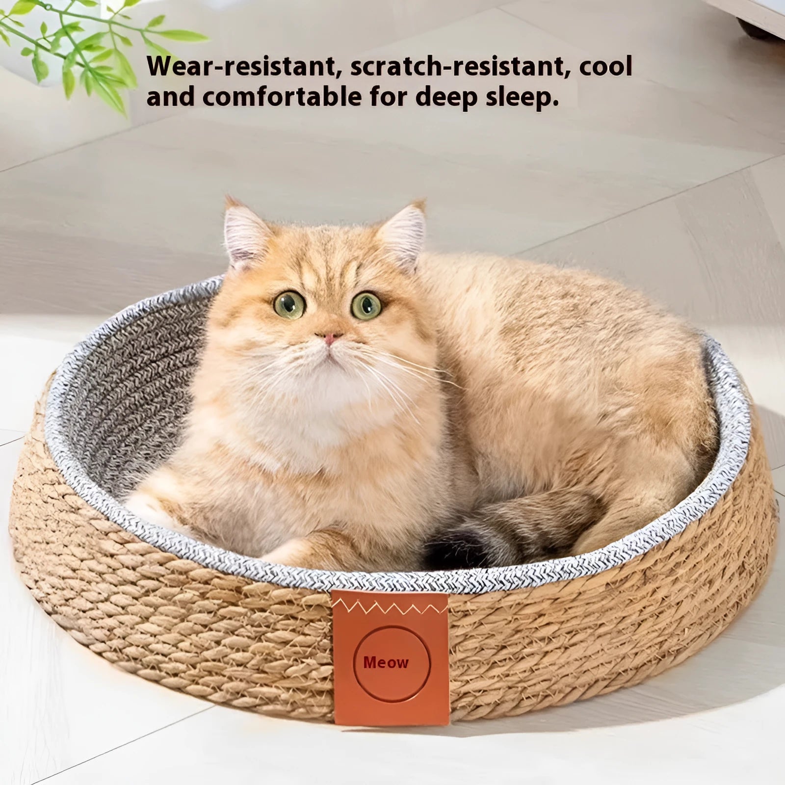 Woven rattan cat bed or nest for pets, shown in one of four available sizes