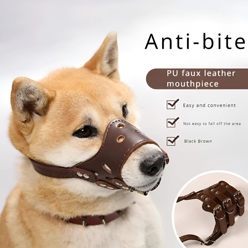 Adjustable dog muzzle silencer for barking and bite prevention on golden retriever