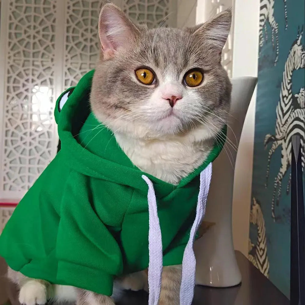 Green frog pattern hoodie on small dog showing four-legged design with hood