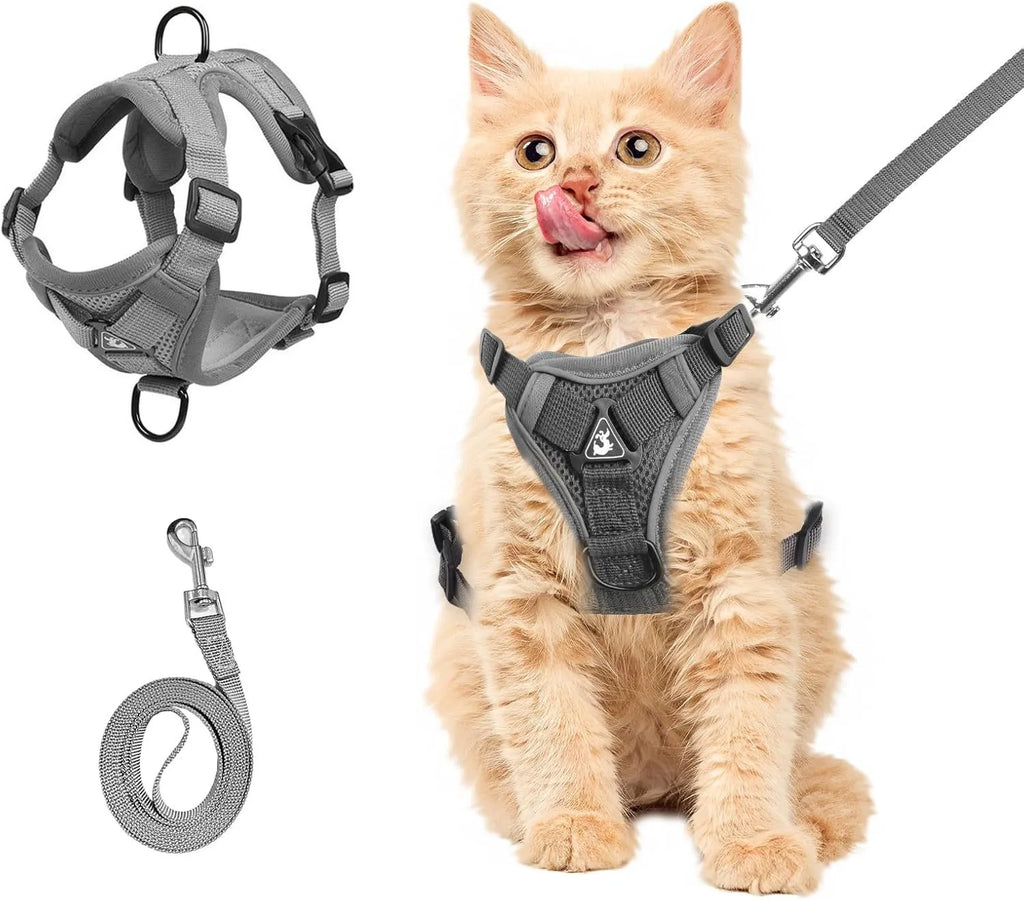 Adjustable mesh cat harness with leash showing reflective strips and secure snap fastenings