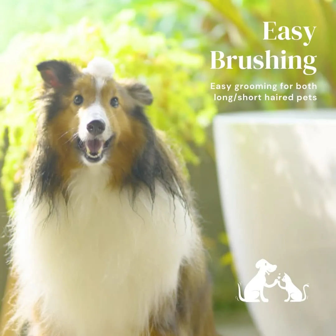 Self-cleaning slicker brush for dogs and cats with stainless steel pins and ergonomic handle