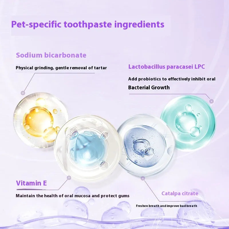 White pet dental care pen with 5ml teeth cleaning gel for dogs and cats