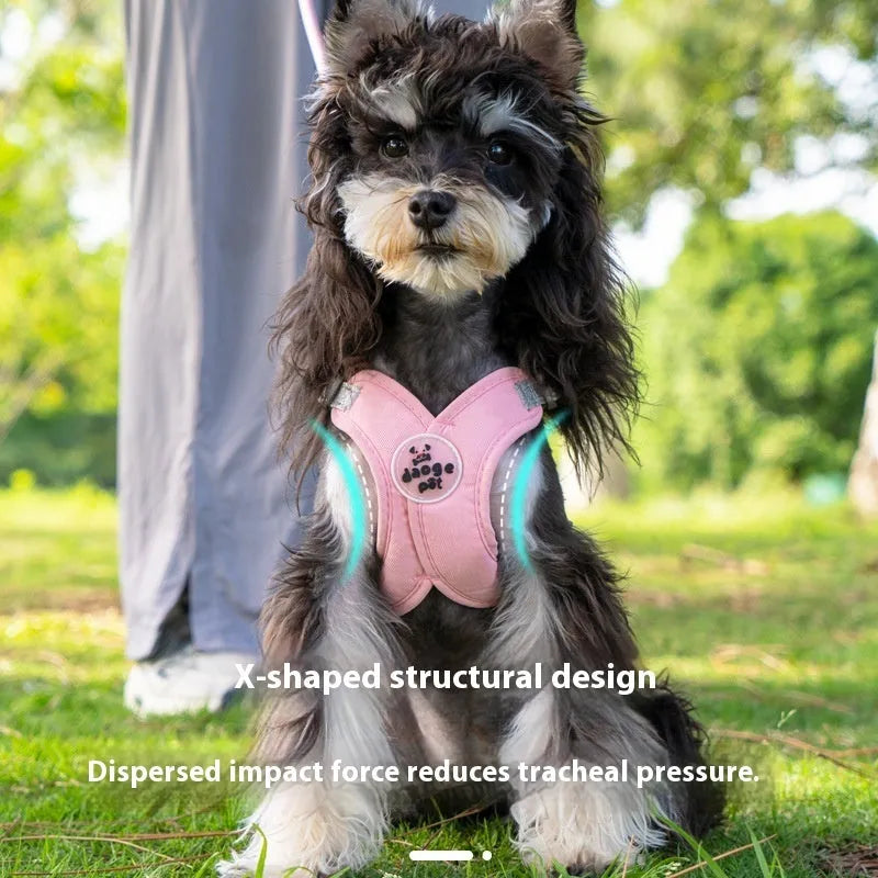 Adjustable dog vest with hand holding rope in blue colour, showing quick-release buckles and padded chest plate