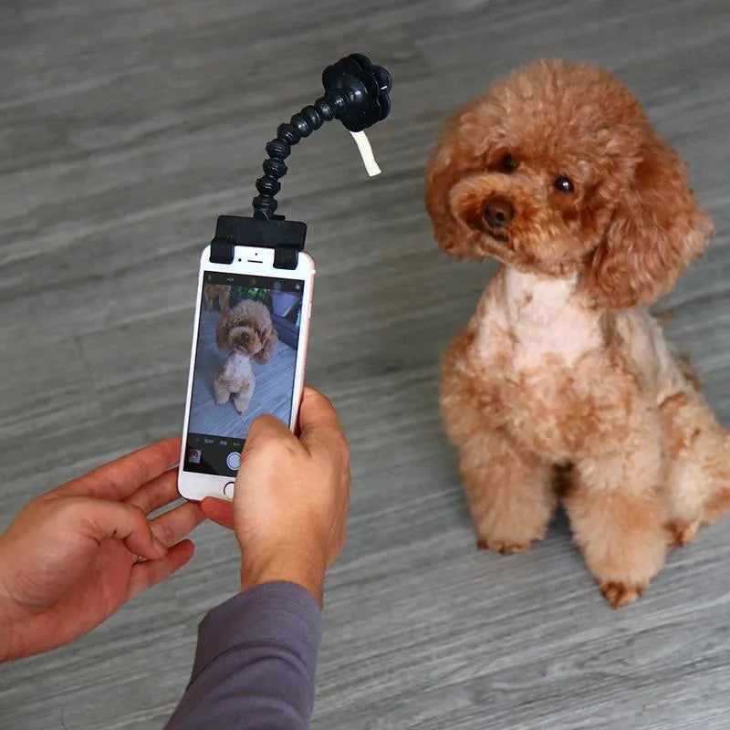 Pet Selfie Stick with 14.6cm extension, square clip, and flower clip for pet photography