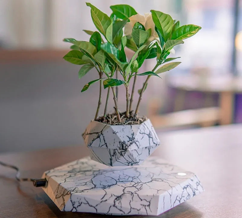 Marble-coloured levitating plant pot floating and rotating with magnetic technology for bonsai or small plants