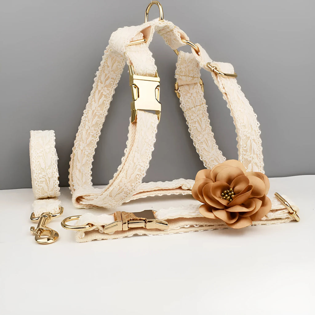 Polyester lace dog wedding vest and collar set with leash and decorative flowers