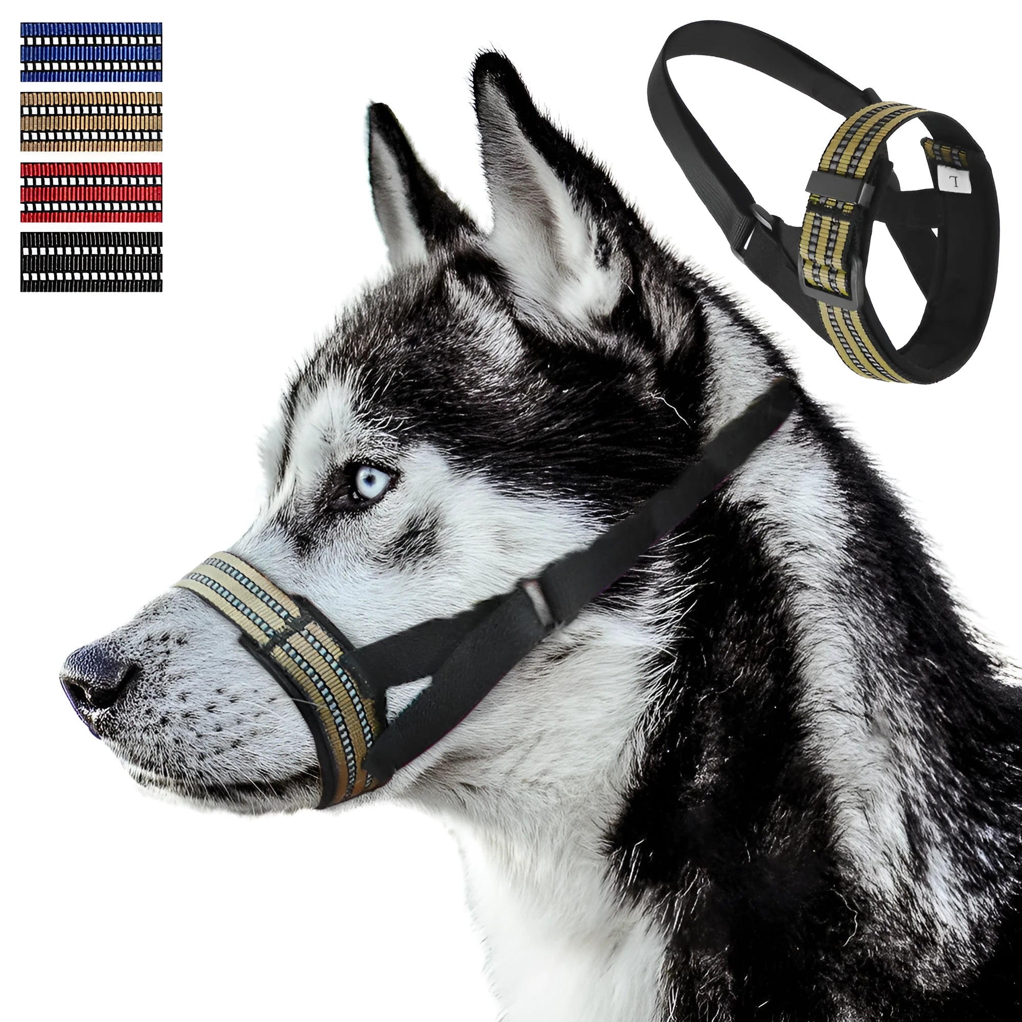Adjustable reflective dog muzzle on a large breed dog, showing strap and muzzle cover.