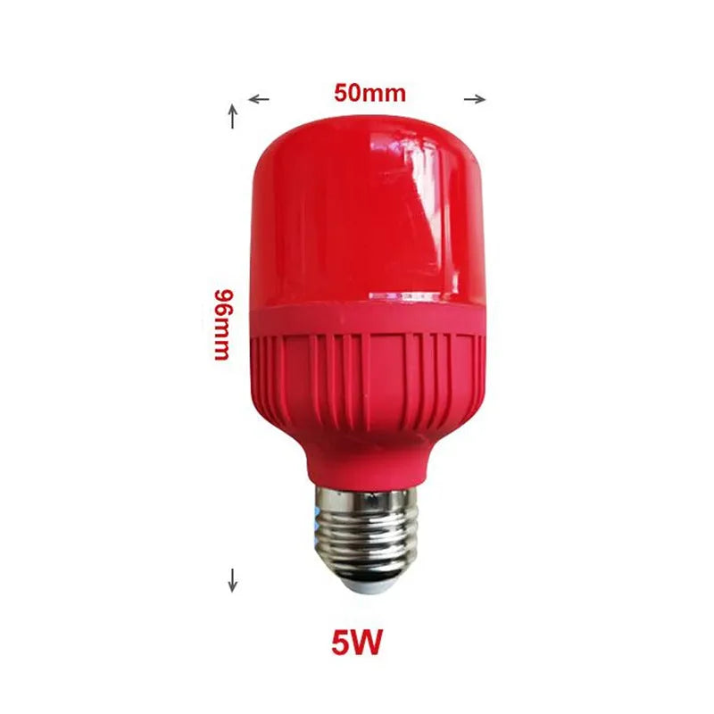LED globe light bulb with coloured light, 220V socket, IP43 rated, available in multiple wattages.