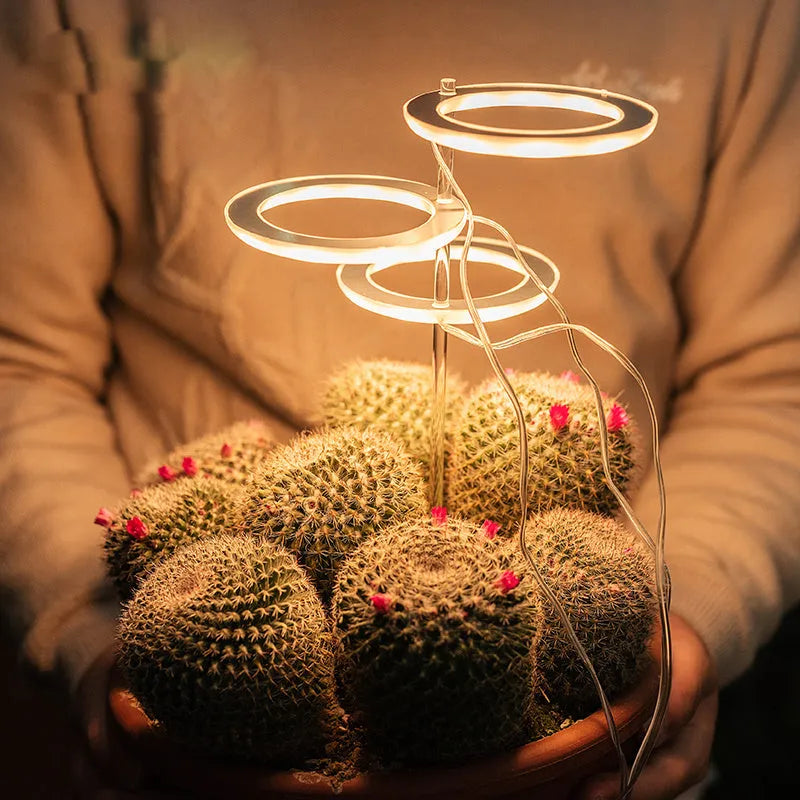 USB-powered LED grow light with transparent housing showing yellow LEDs, attached to 25cm acrylic stick for plant illumination