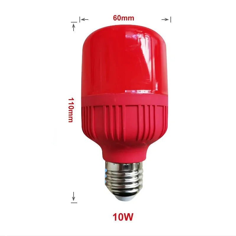 LED globe light bulb with coloured light, 220V socket, IP43 rated, available in multiple wattages.