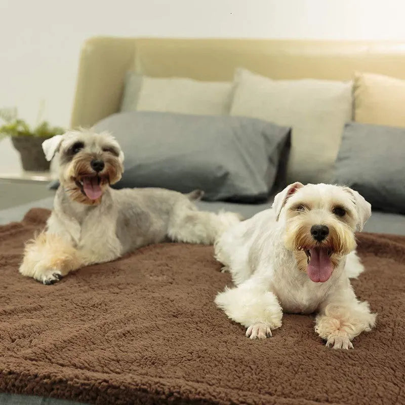 Plush pet blanket dog cat mat in beige, gray, or brown, sizes XS 40x60cm to XL 105x165cm