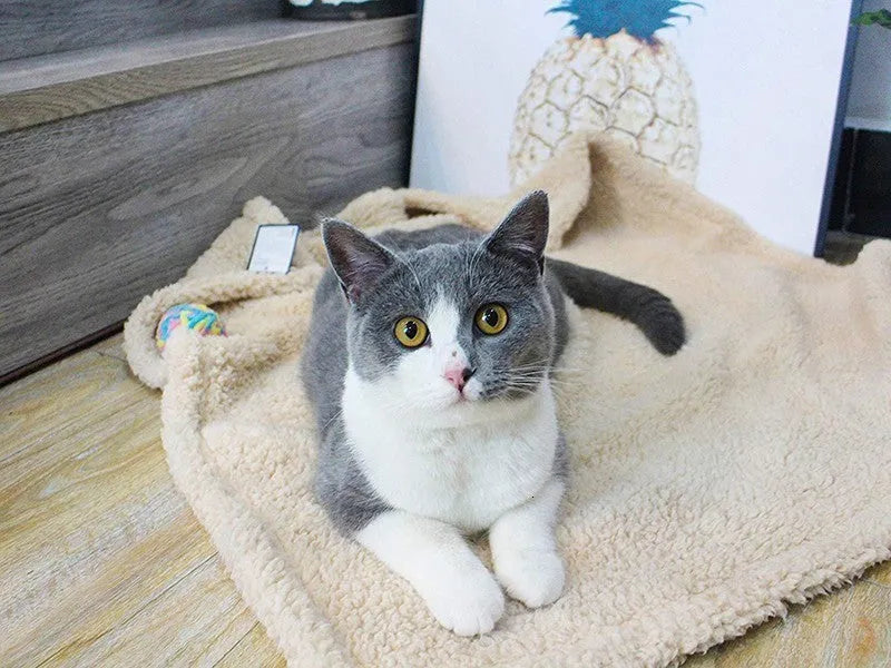 Plush pet blanket dog cat mat in beige, gray, or brown, sizes XS 40x60cm to XL 105x165cm