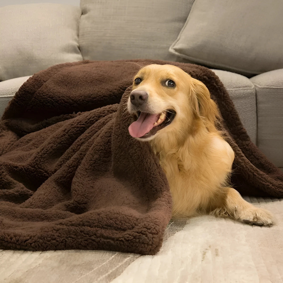 Plush pet blanket dog cat mat in beige, gray, or brown, sizes XS 40x60cm to XL 105x165cm