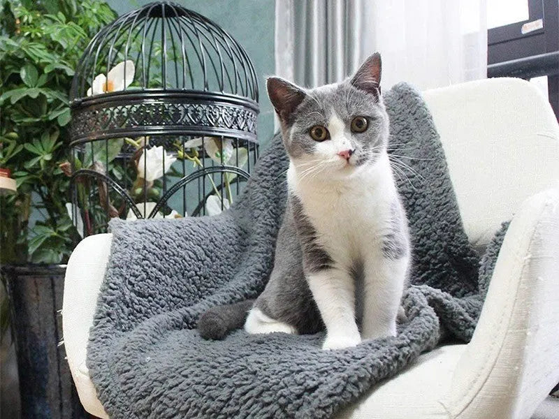Plush pet blanket dog cat mat in beige, gray, or brown, sizes XS 40x60cm to XL 105x165cm