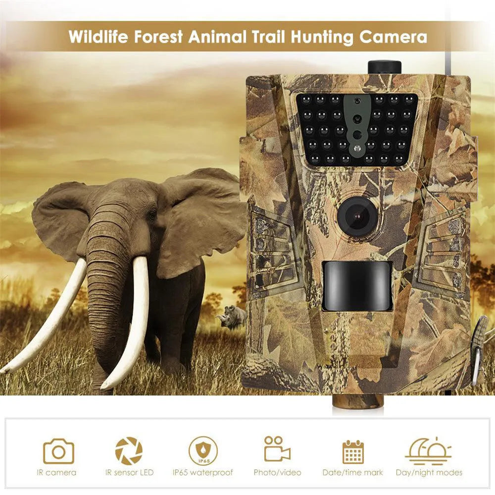 Orchard surveillance anti-theft camera with belt attachment and infrared night vision capability