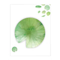 A4 botanical leaf Post-it notes set showing eight different leaf designs including water lily and ginkgo shapes