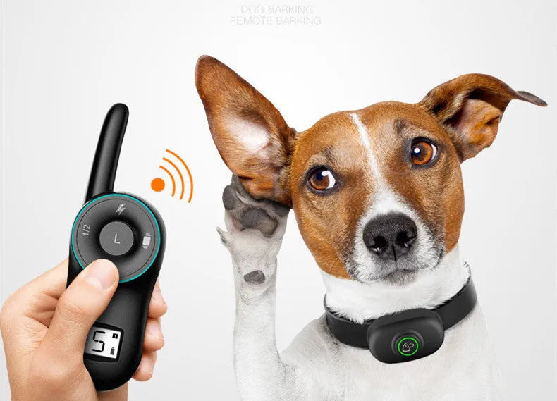 Black waterproof dog training collar with remote control showing shock, vibration and beep buttons