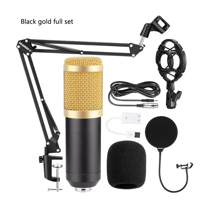 BM800 condenser microphone with metal body on cantilever bracket with shock mount and blowout prevention net