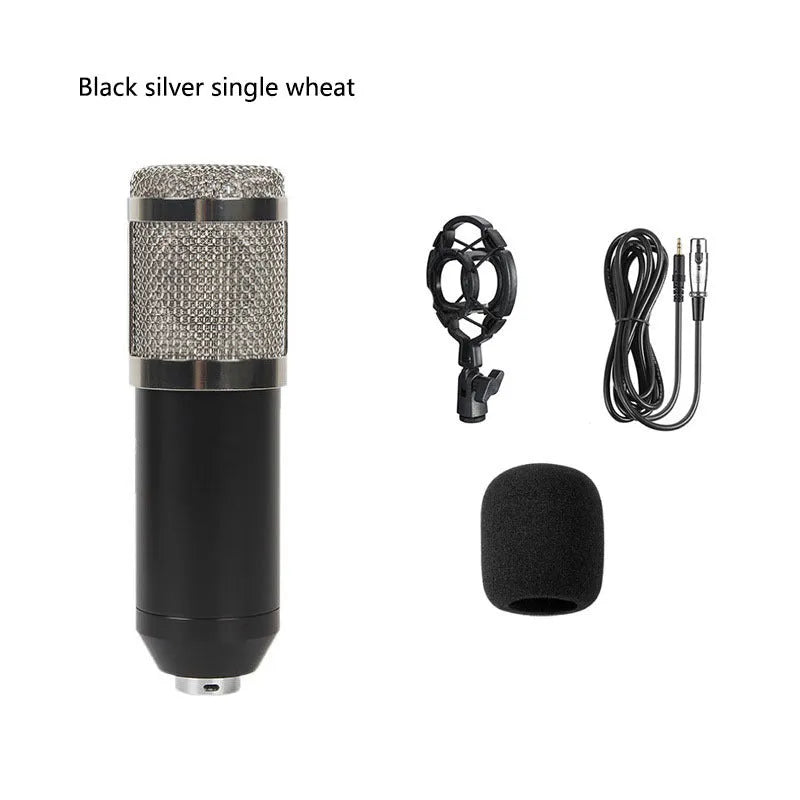 BM800 condenser microphone with metal body on cantilever bracket with shock mount and blowout prevention net