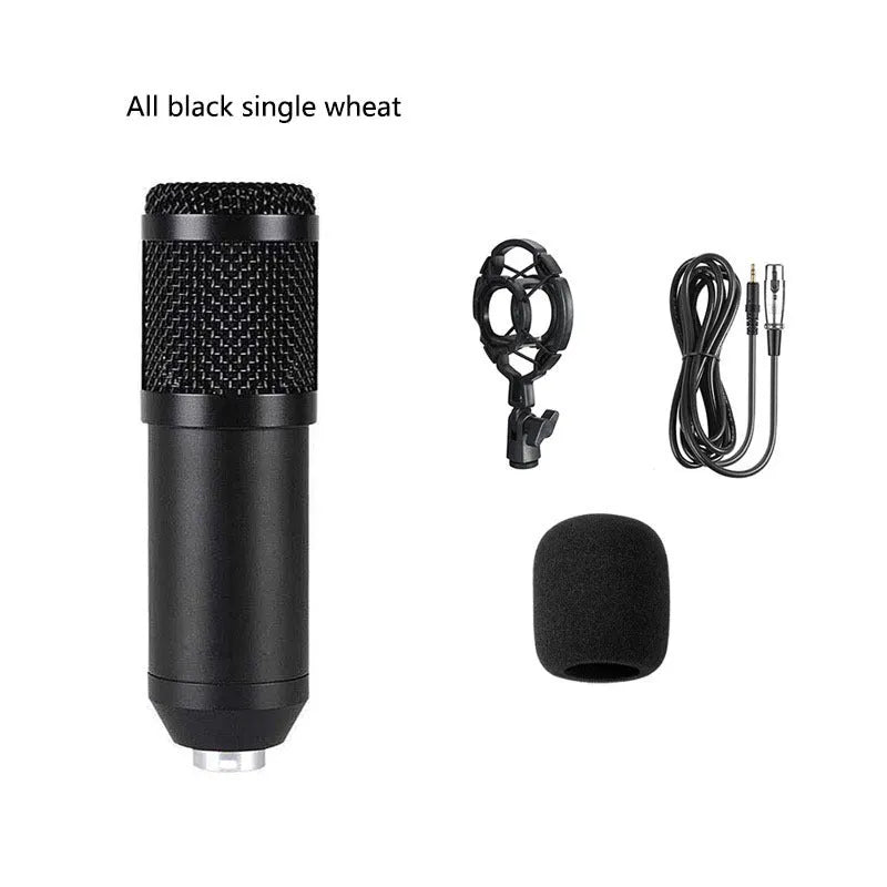 BM800 condenser microphone with metal body on cantilever bracket with shock mount and blowout prevention net