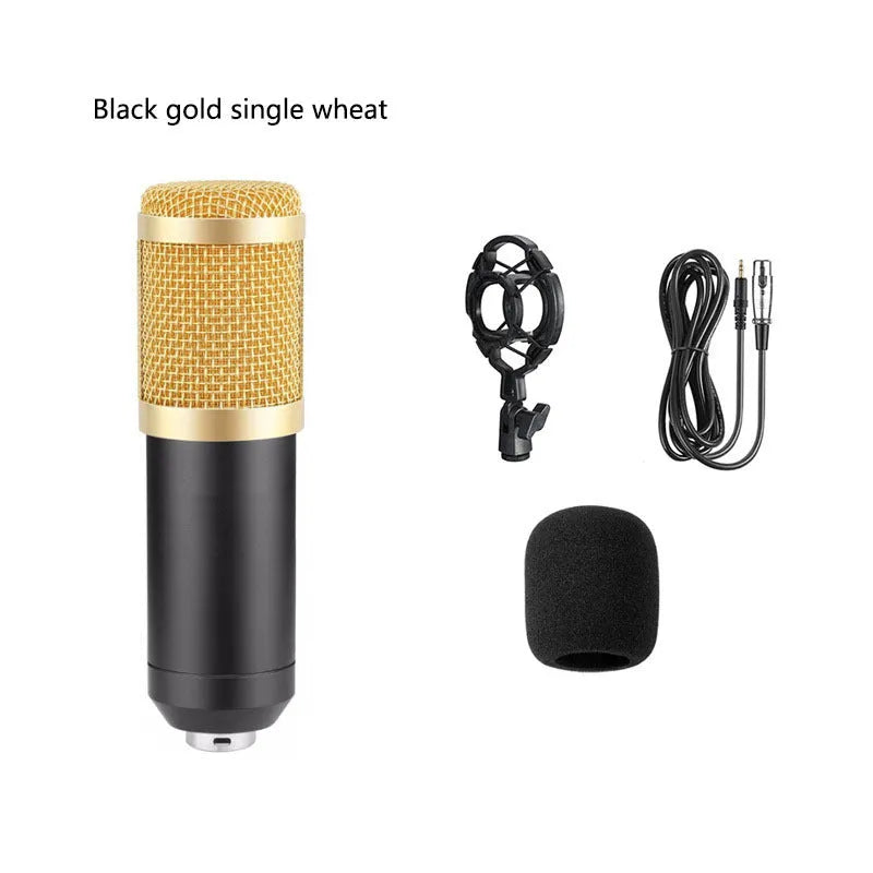 BM800 condenser microphone with metal body on cantilever bracket with shock mount and blowout prevention net