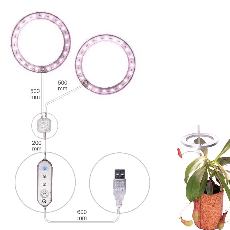 Angel ring shaped USB LED full spectrum grow light for indoor potted plants on a desk.
