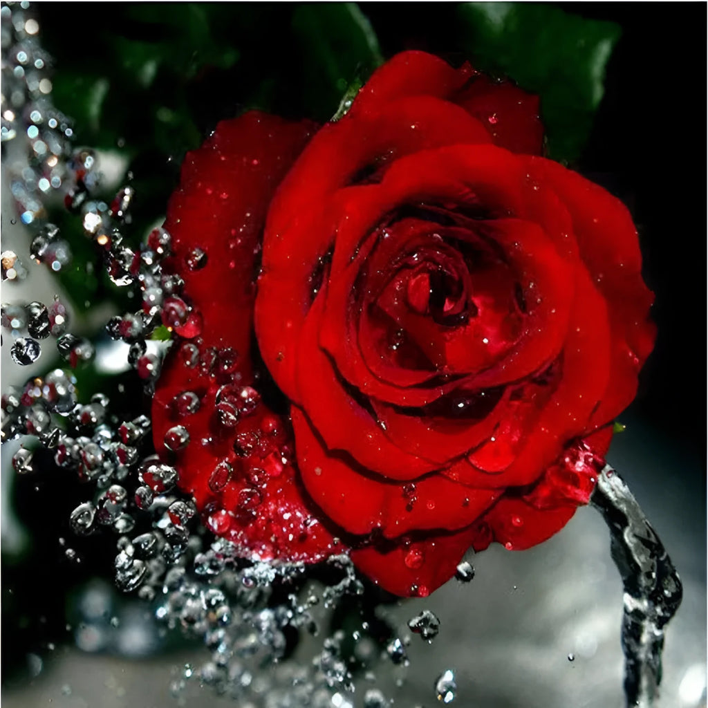 Hand-painted water drop red rose digital oil painting on 40x50cm linen canvas