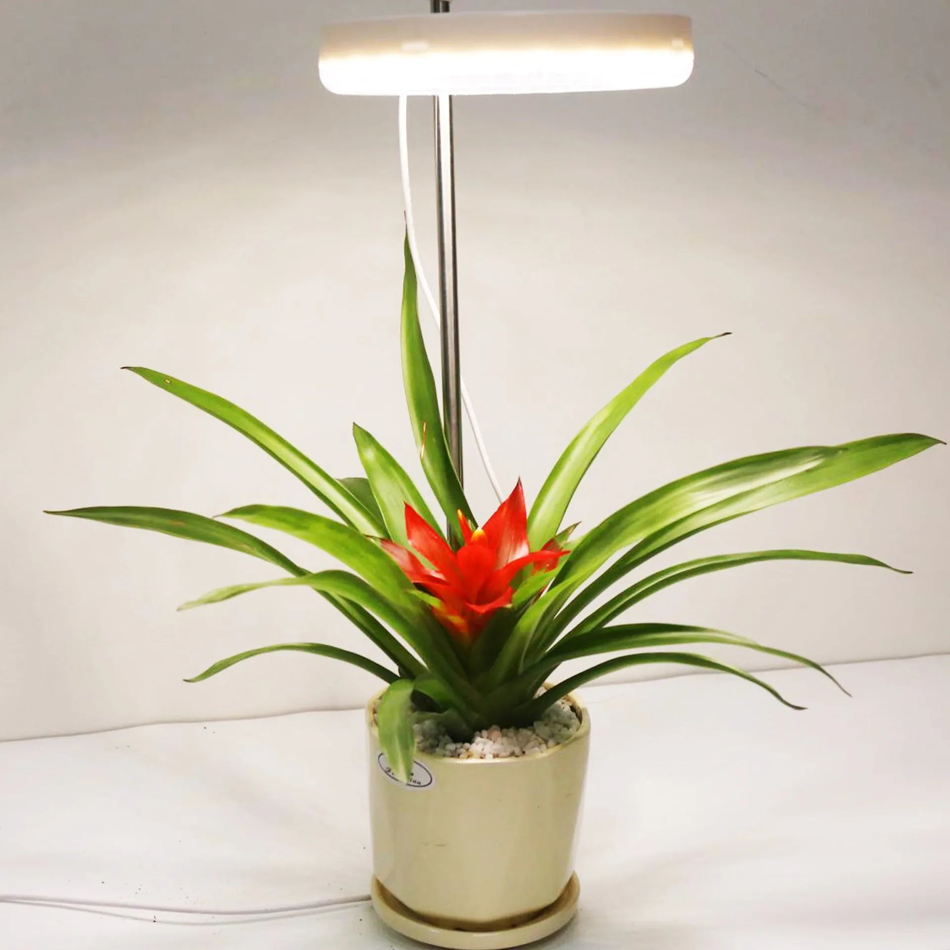 Home office desk flower and plant growth lamp with full spectrum LED light, adjustable heads, and 160mm x 29mm size