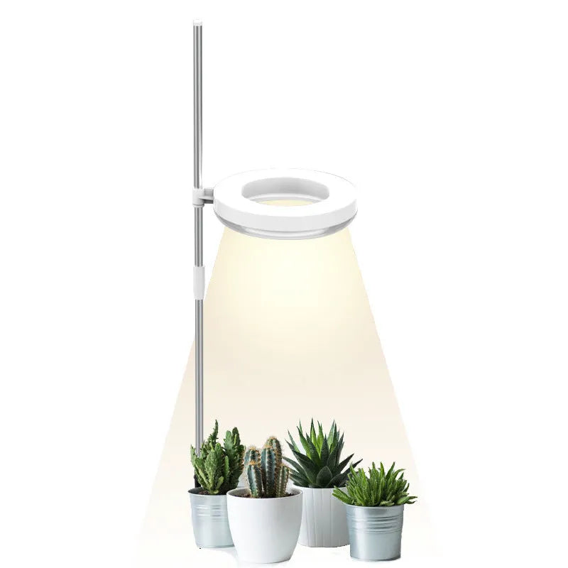 Home office desk flower and plant growth lamp with full spectrum LED light, adjustable heads, and 160mm x 29mm size