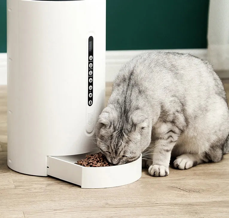 White automatic pet feeder with 4.6L food capacity and digital timer display