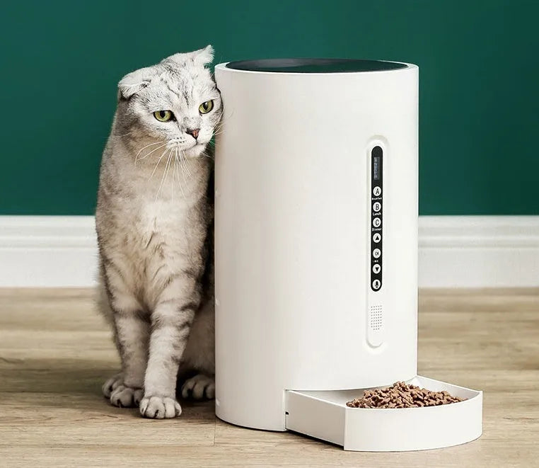 White automatic pet feeder with 4.6L food capacity and digital timer display