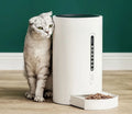 White automatic pet feeder with 4.6L food capacity and digital timer display